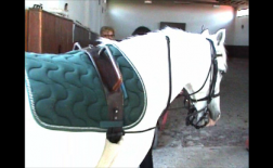 Snapshot 1 (09-02-2017 15-51)